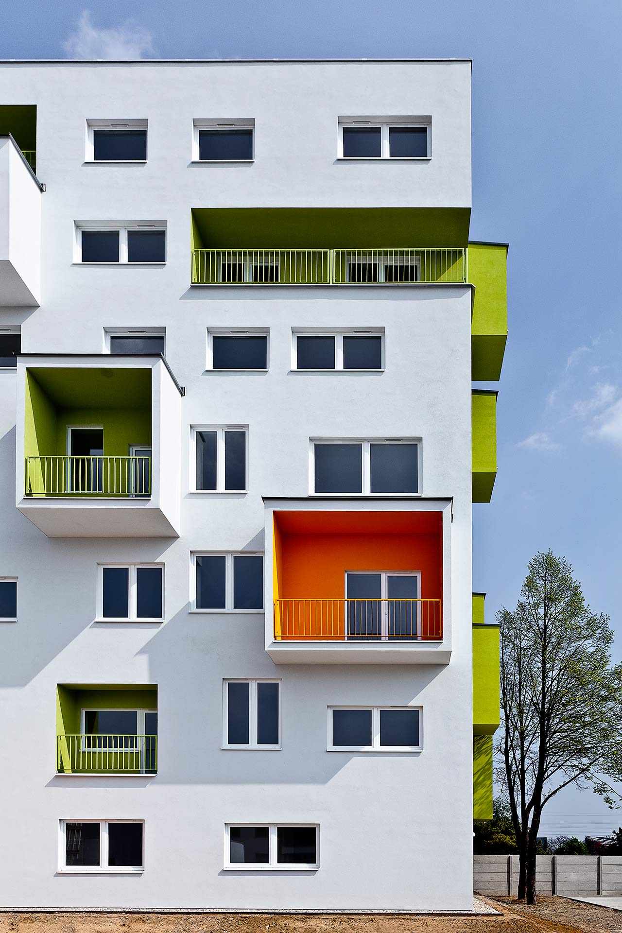 dornyk-01